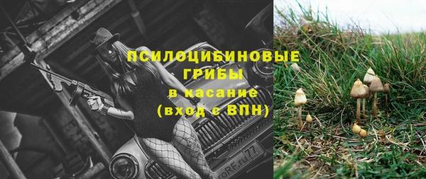 метамфетамин Каменногорск