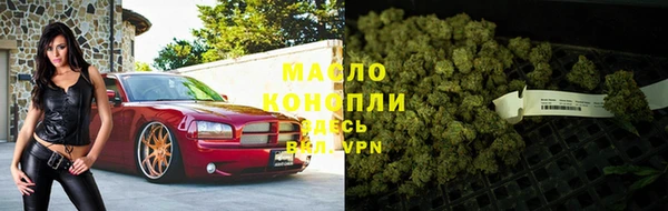 первитин Каменка