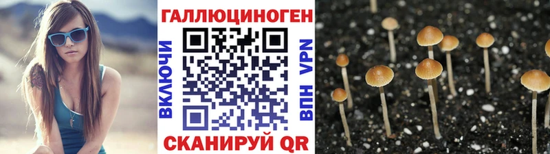 Купить  Белоусово  Галлюциногенные грибы мухоморы 